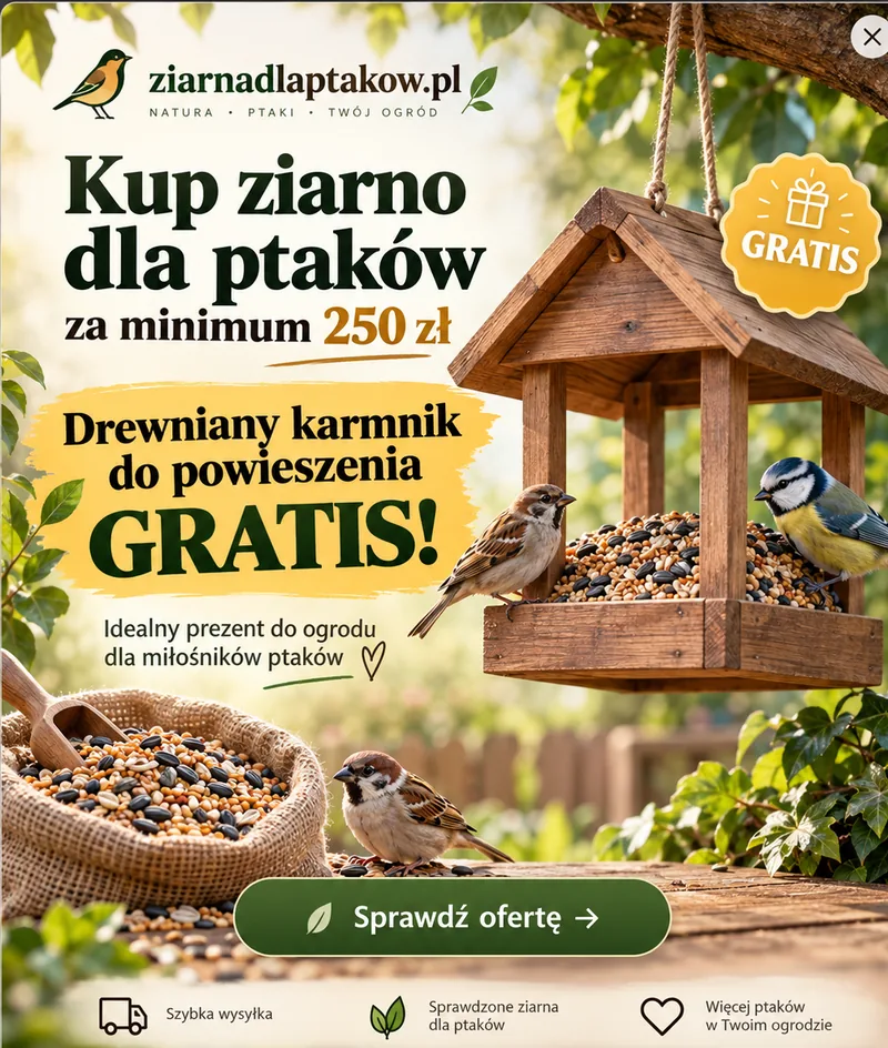 Kup ziarno dla ptaków za minimum 250 zł i odbierz drewniany karmnik do powieszenia GRATIS.