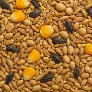 Gryzonie - Mix Domowy 20 kg - zbilansowana pasza dla myszy